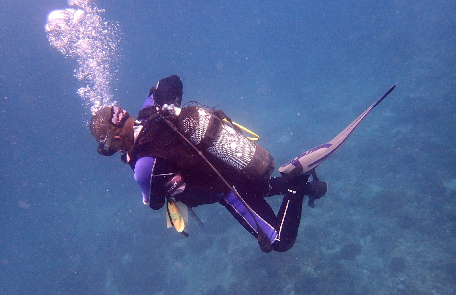 Diving — Follow Your Dreams Tours in Watamu, Kenya