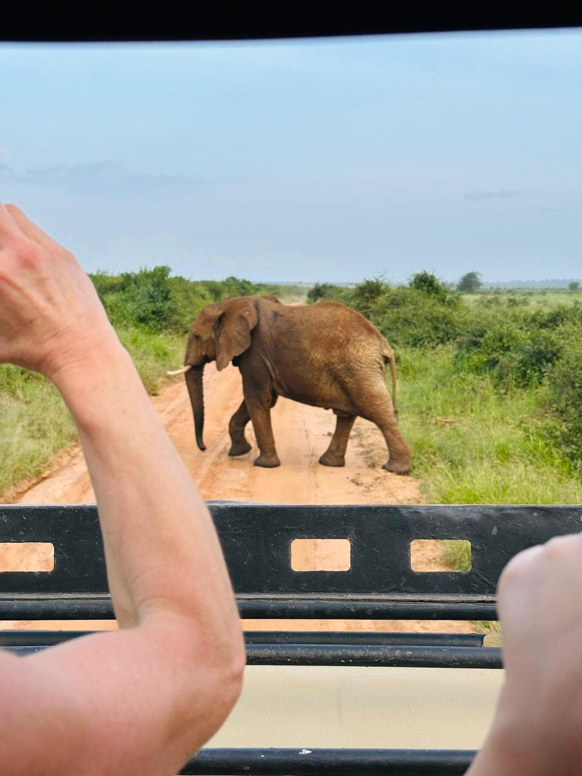 7-Day Ultimate: Mara, Nakuru & Amboseli