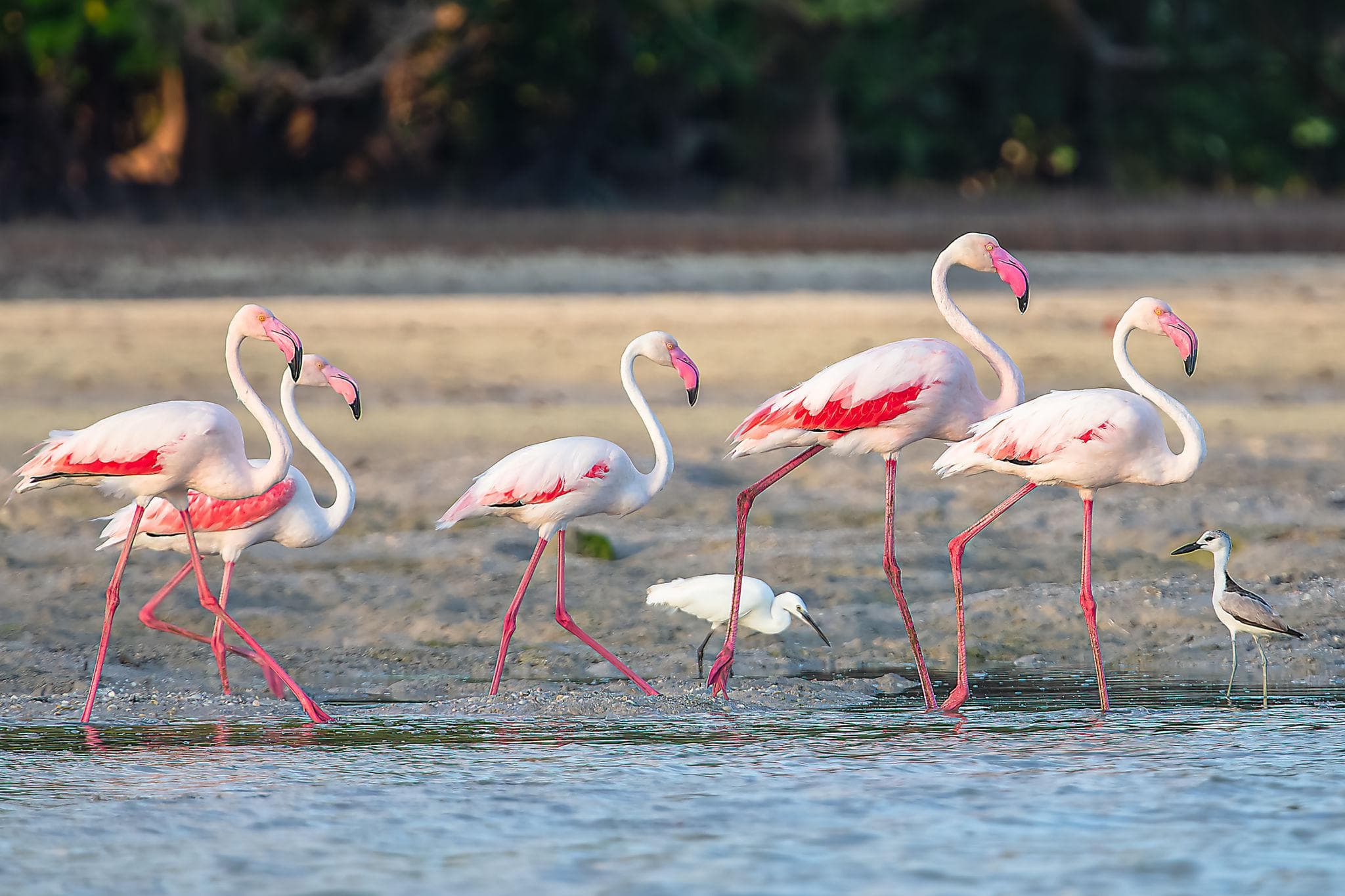 How Much Do Watamu Excursions Cost? A Practical Budget Guide
