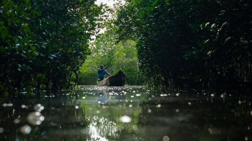 Mida Creek Canoe vs Kayak: Which Should You Choose?