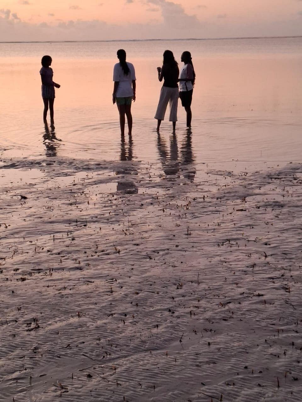 Going on Safari from Watamu: Parks, Timing and How to Plan