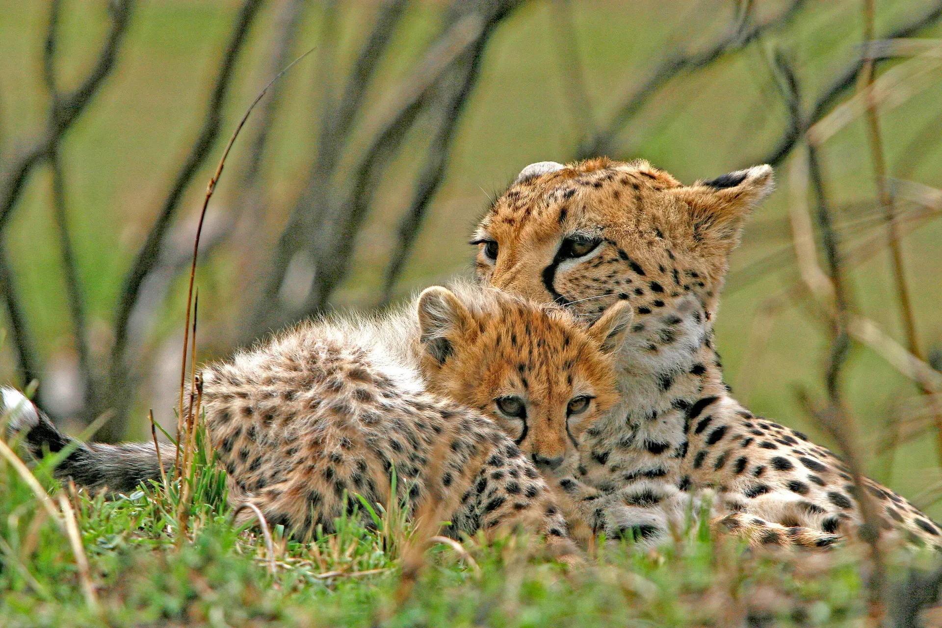 Tsavo East — 2 Days / 1 Night